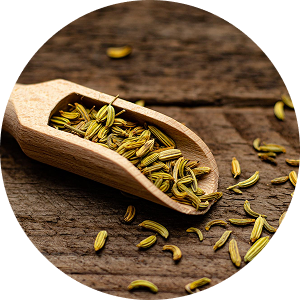 fennel-seeds